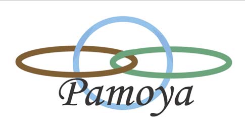 Logo cirkels en Pamoya